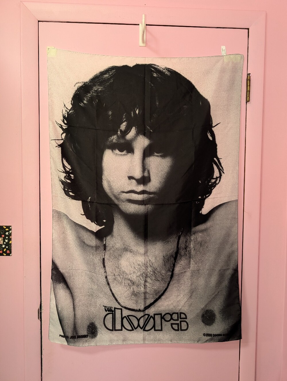 Vintage 2000 The Doors Jim Morrison Poster Flag Tapestry